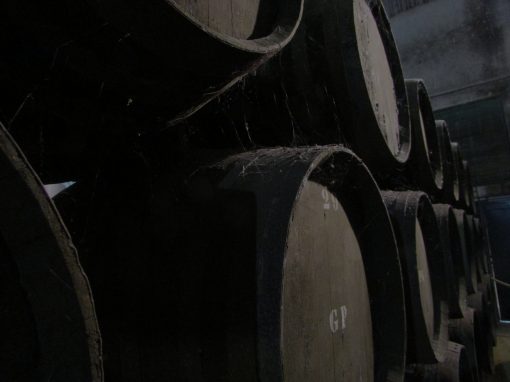 Visita a viñedos y bodegas (Sábados 11:00) - Imagen 7