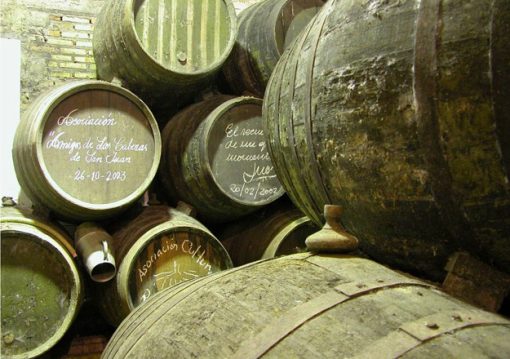 Visita a viñedos y bodegas (Sábados 11:00) - Imagen 8