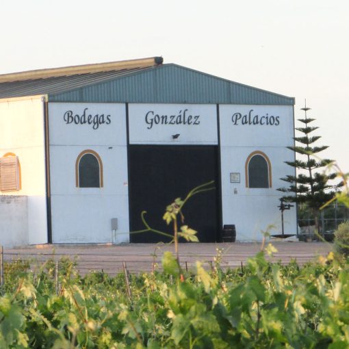 Visita a viñedos y bodegas (Sábados 11:00) - Imagen 3