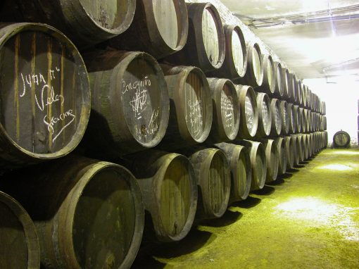 Visita a viñedos y bodegas (Sábados 11:00) - Imagen 9