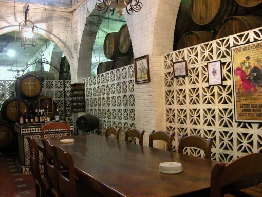 Visita a viñedos y bodegas (Sábados 11:00) - Imagen 11