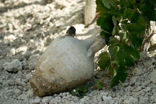 Visita a viñedos y bodegas (Sábados 11:00) - Imagen 4