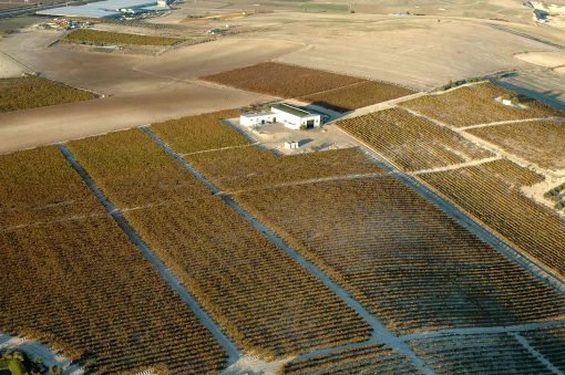 Bodegas González Palacios, Lebrija.